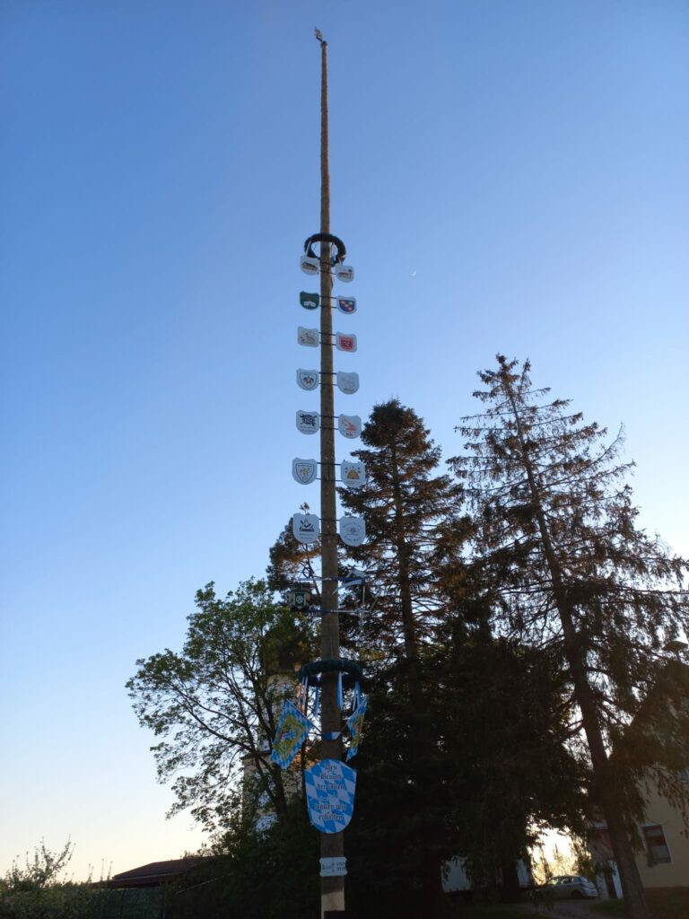 Bayerischer Maibaum im Abendlicht vor Bäumen