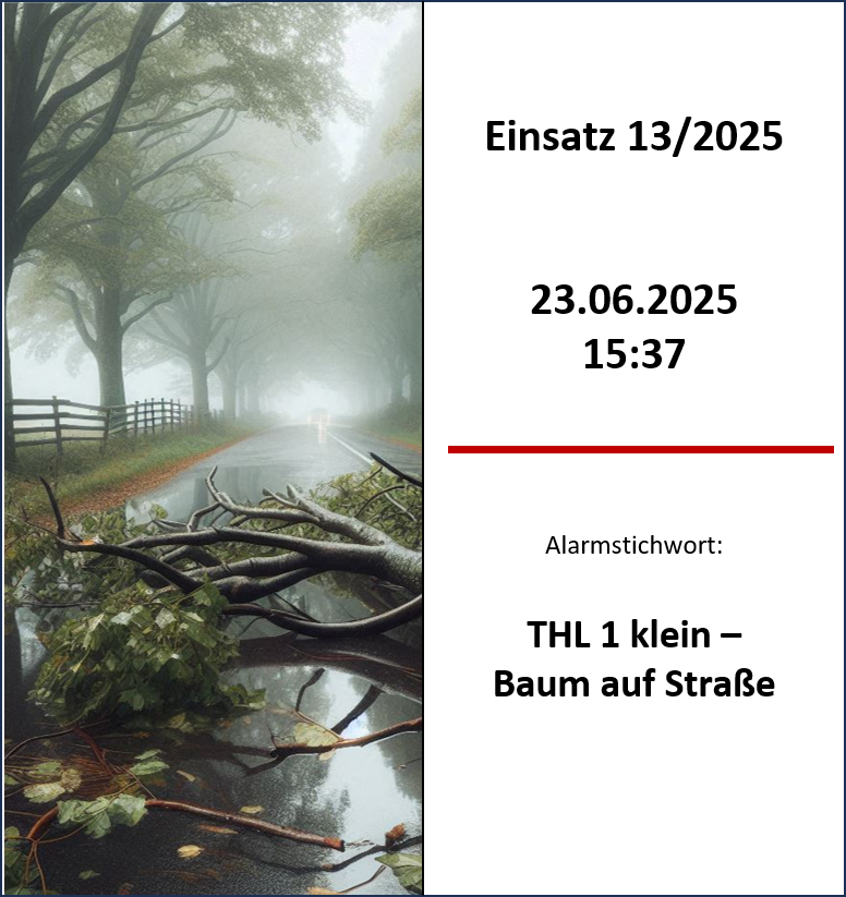 Gefallener Baum blockiert Landstraße bei Regen.